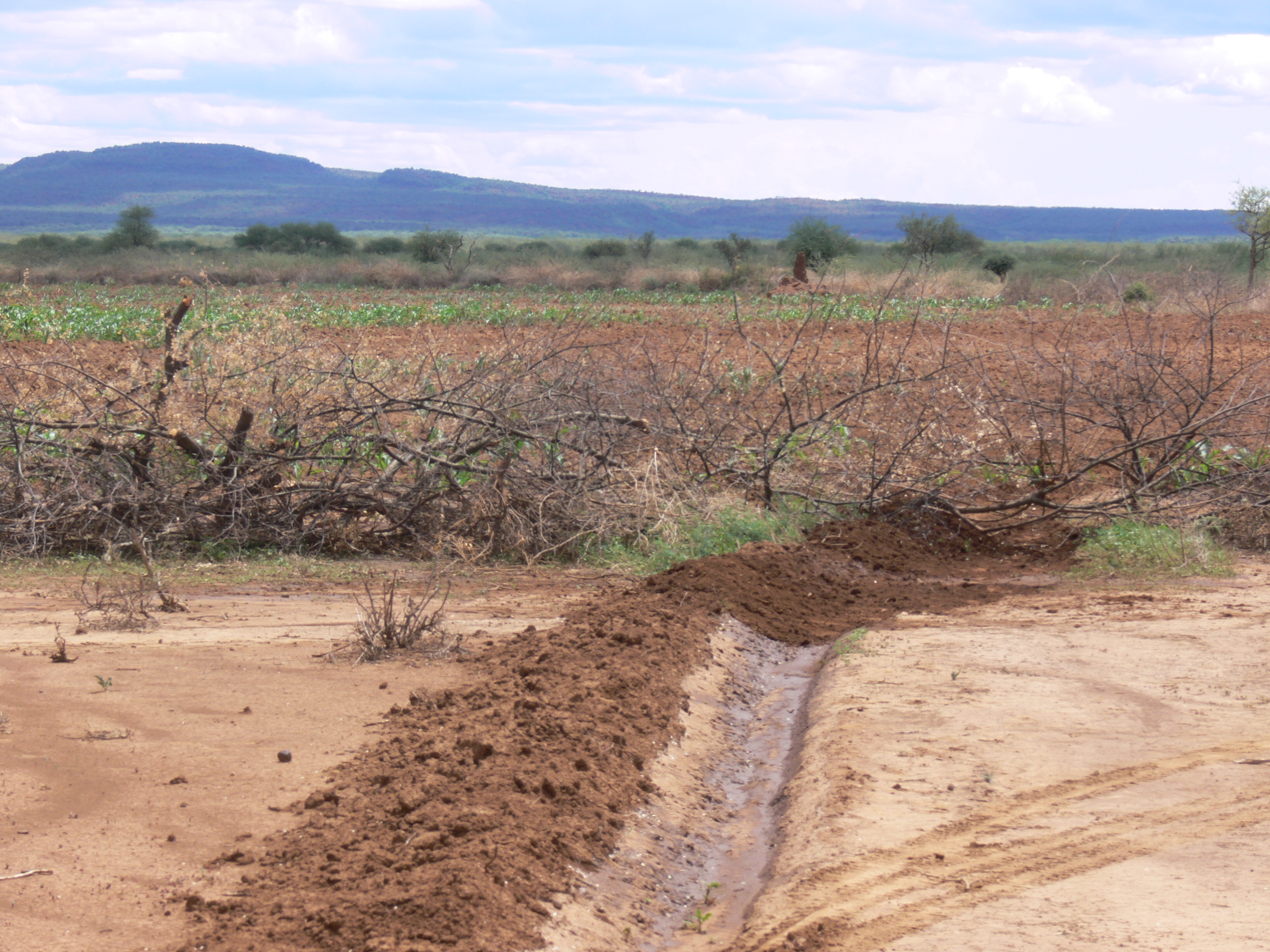 dryland cultivation in Kenya