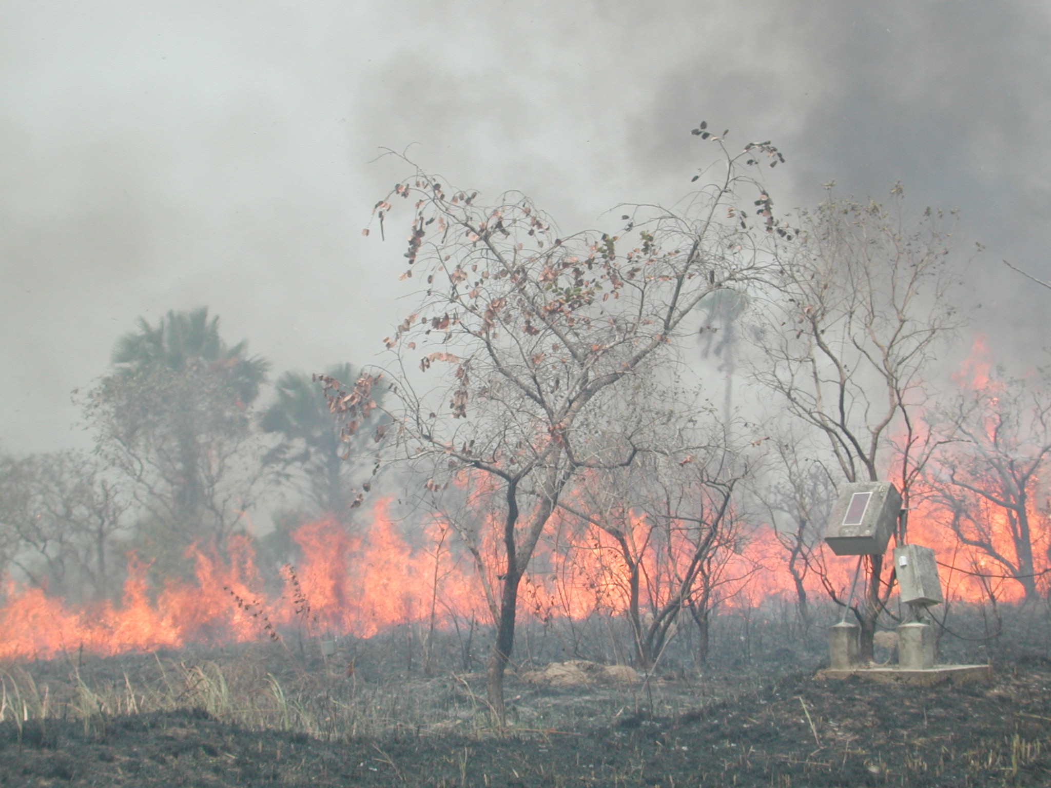 Annual savanna bush fire in central Côte d'Ivoire