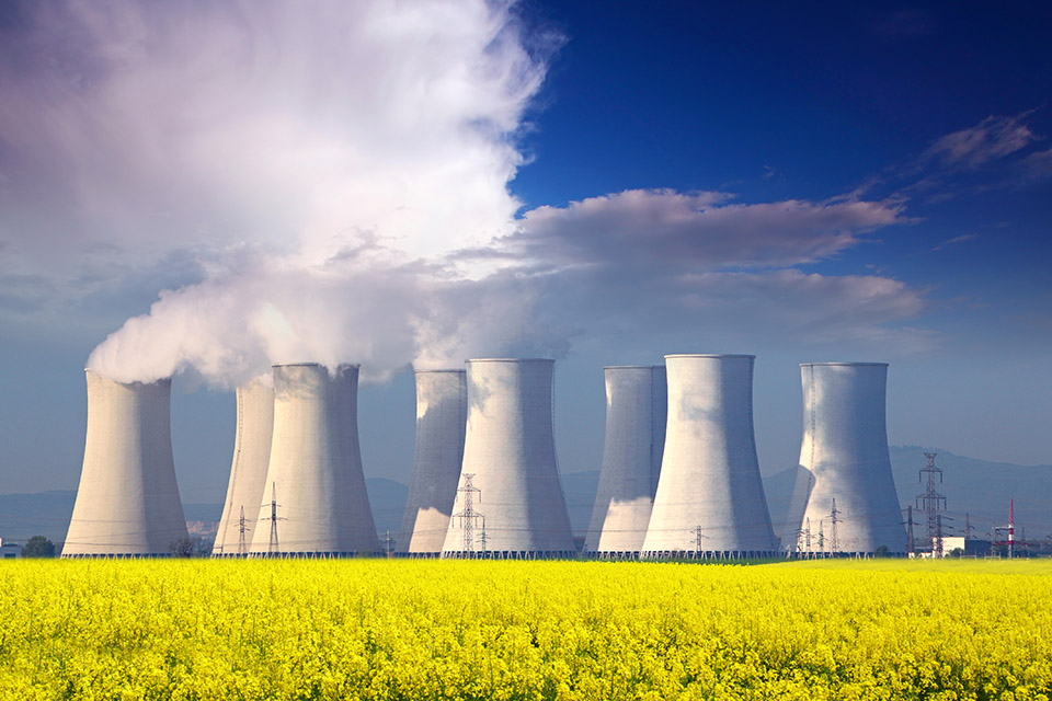 Nuclear plant with yellow flowers in the foreground