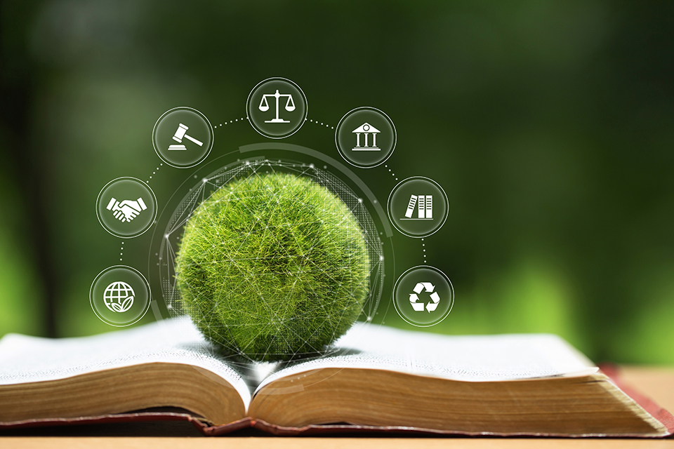 Green ball with forest in the background and climate symbols