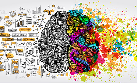 Brain with the left half in black and white and the right half in color