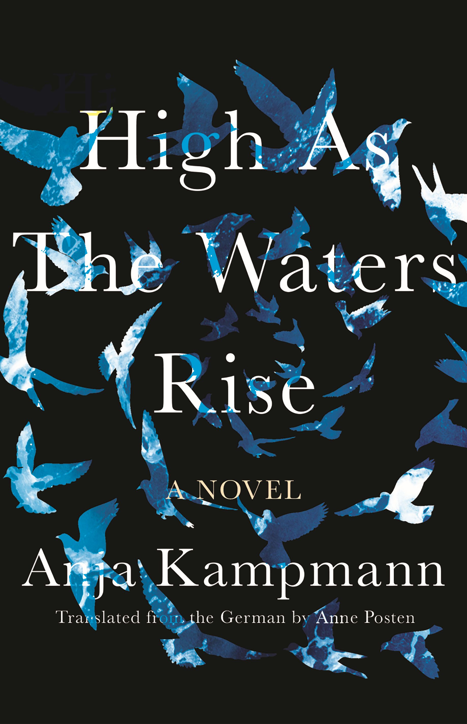 Book cover of High as the Water Rise