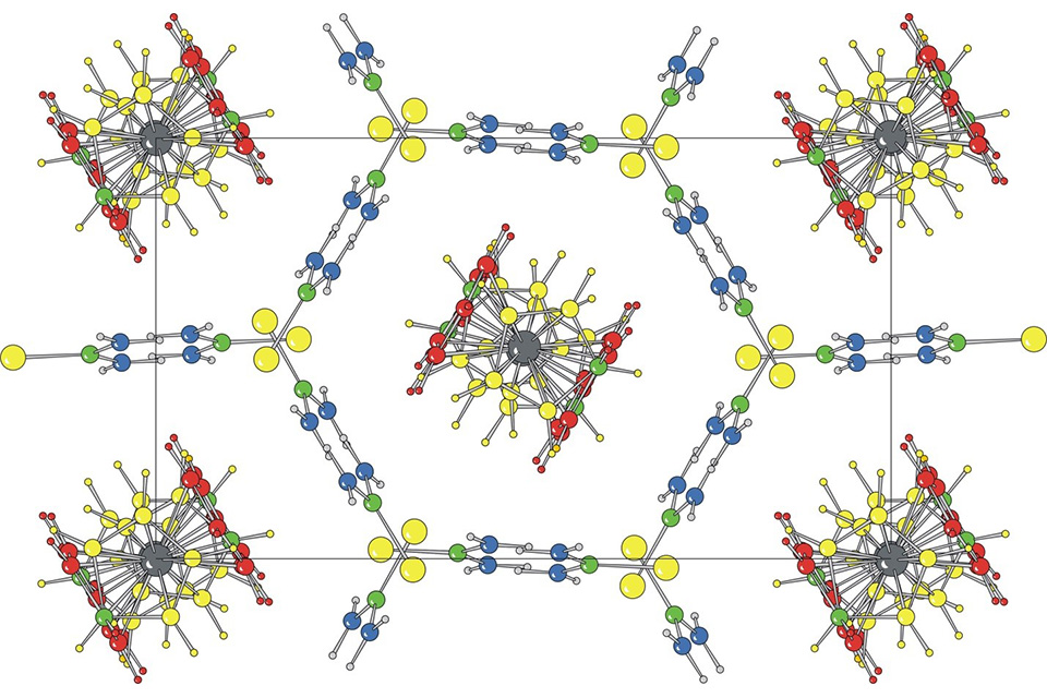 Foxman faculty image