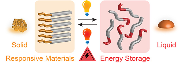 Research image for Grace Han group