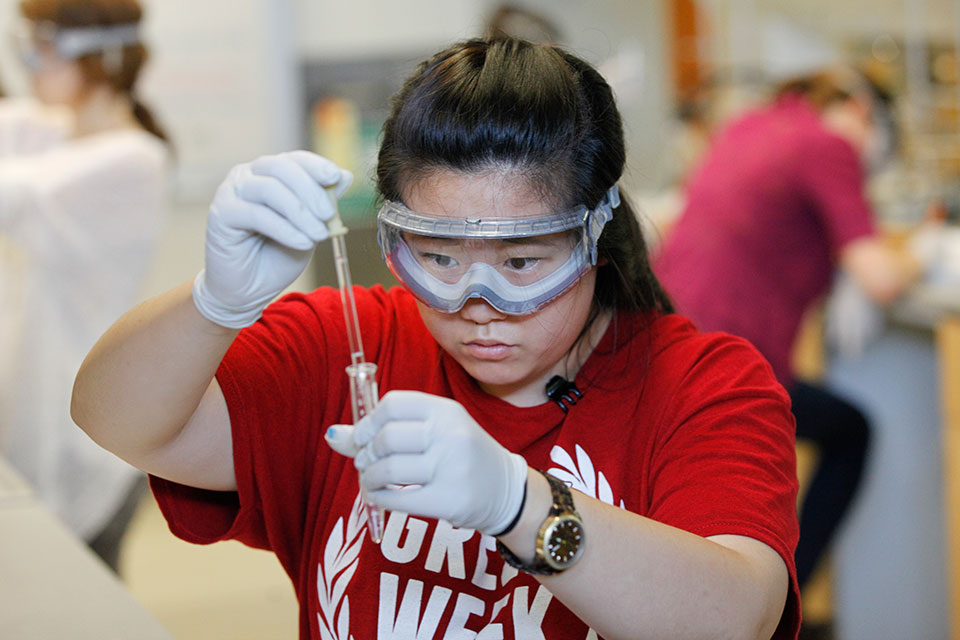 Chemistry undergraduate doing lab research