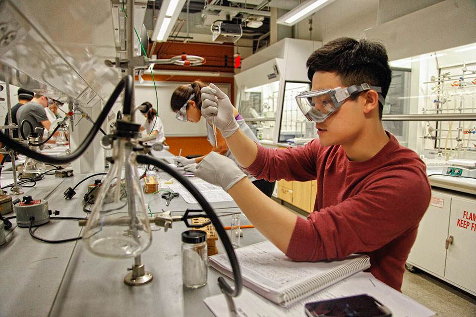 Research Opportunities for Undergraduates | Undergraduate Programs |  Department of Chemistry | Brandeis University