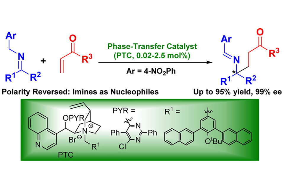 Paper title: "Catalytic Asymmetric Synthesis of Chiral γ-Amino Ketones via Umpolung Reactions of Imines."
