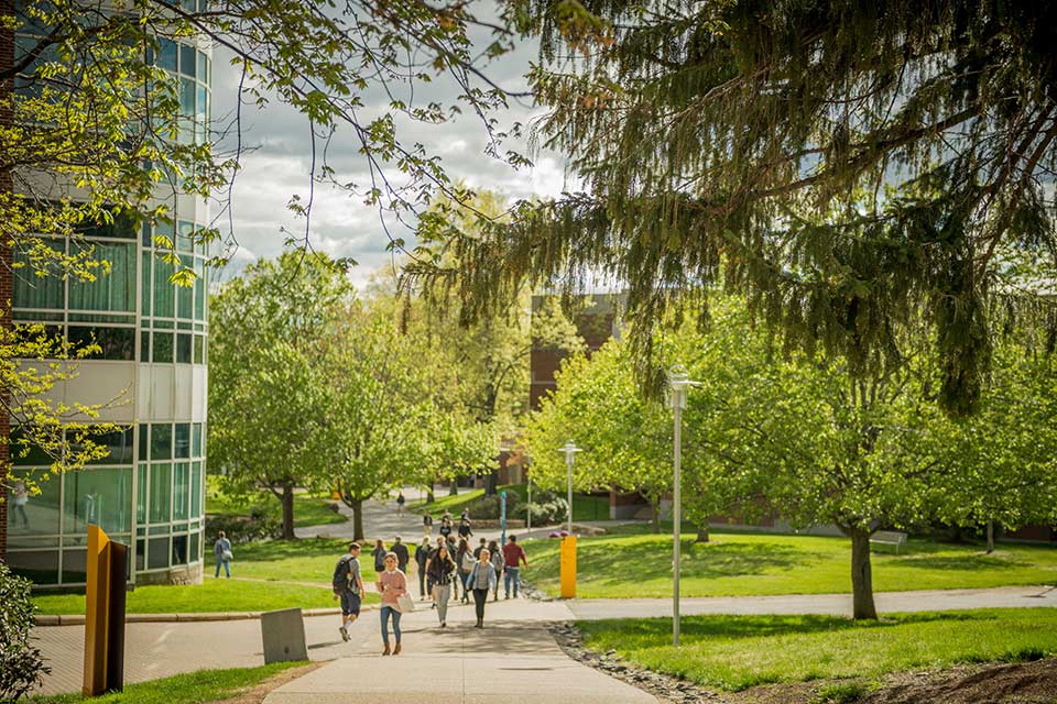 Students walking on sunny day on the Brandeis campus