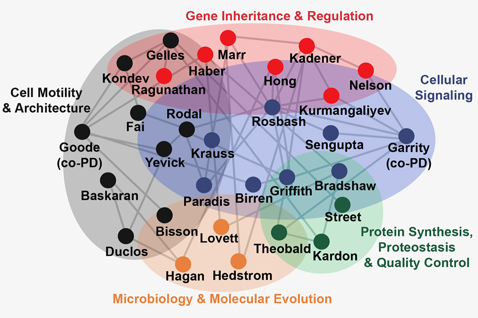 Training Faculty diagram showcasing a highly interconnected network of cross-disciplinary relationships