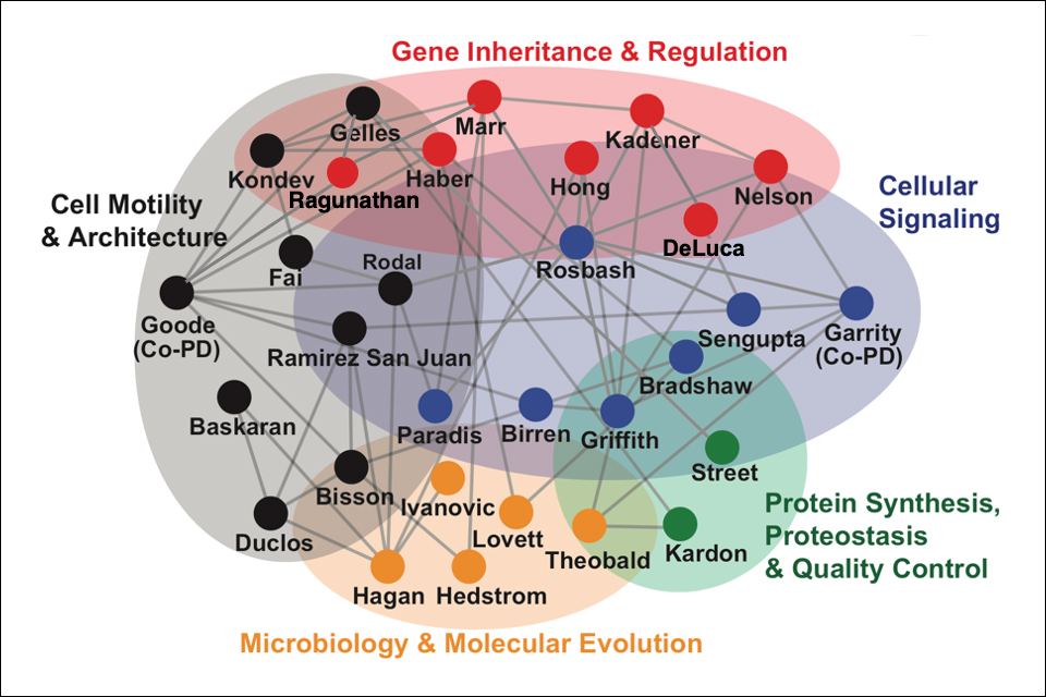 Training Faculty CMCB Graduate Training Program Brandeis University