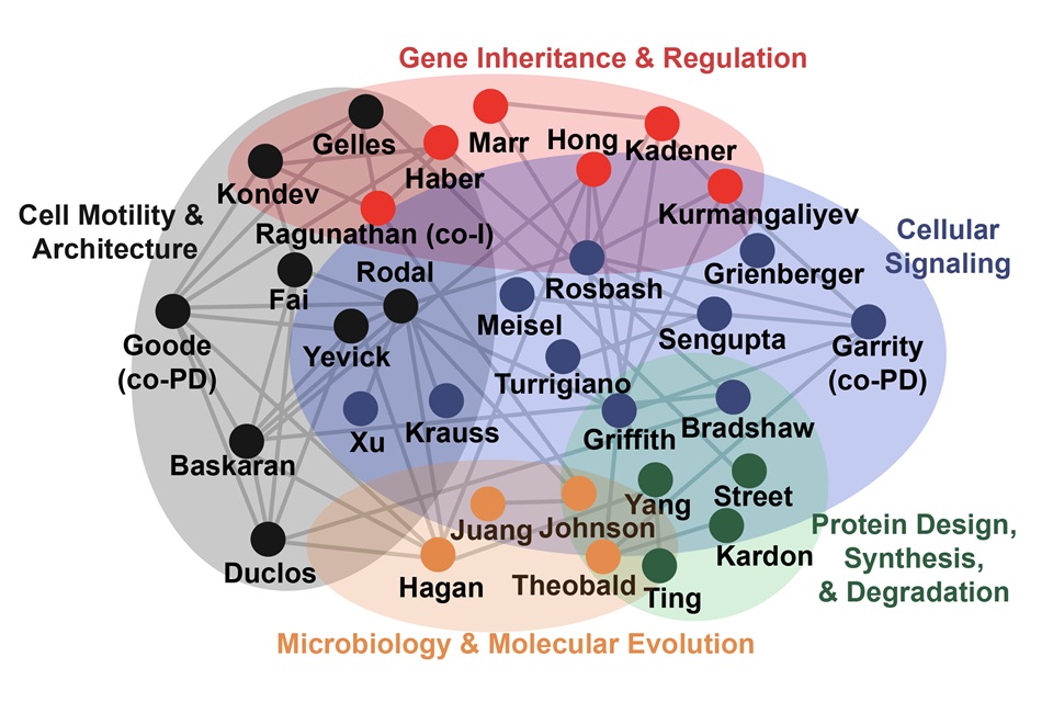 Training Faculty diagram showcasing a highly interconnected network of cross-disciplinary relationships
