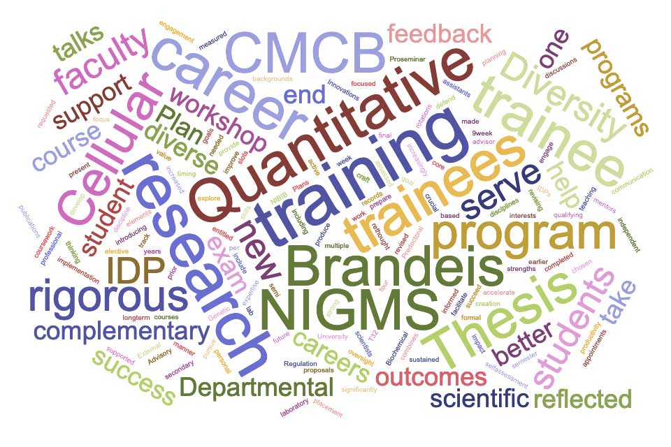 Word cloud with large words like Quantitative, training, Brandeis, NIGMS, research, CMCB, career, cellular, thesis, etc.