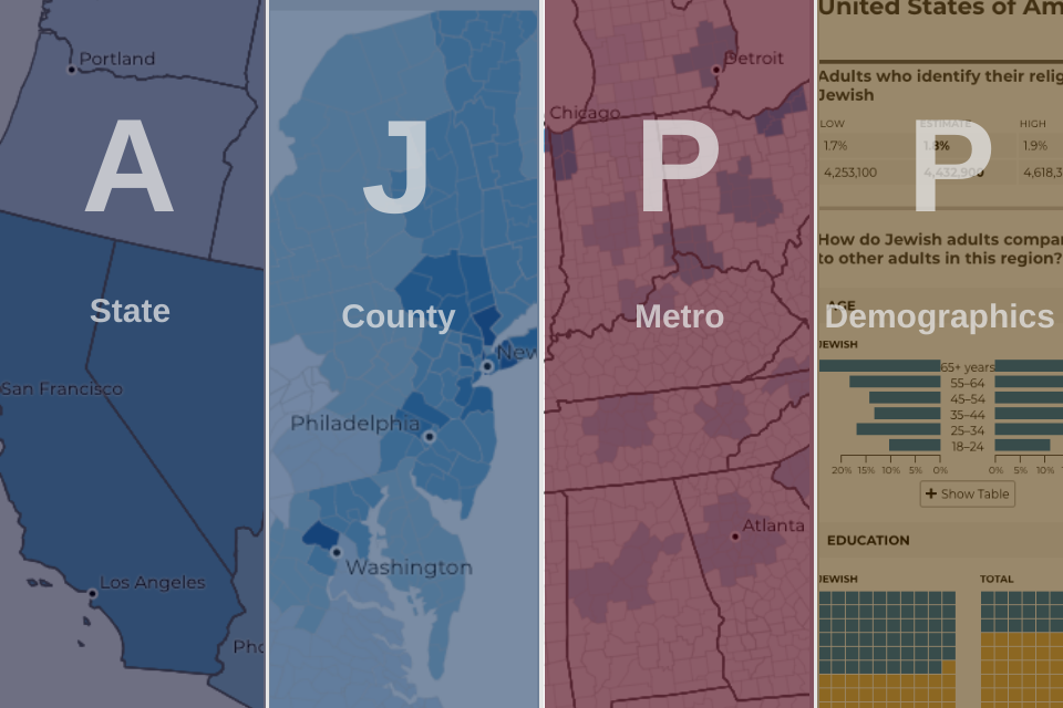 Maps in muted colors, overlaid text reads AJPP, State, County, Metro, Demographics