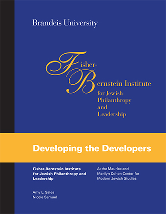Developing the Developers report cover