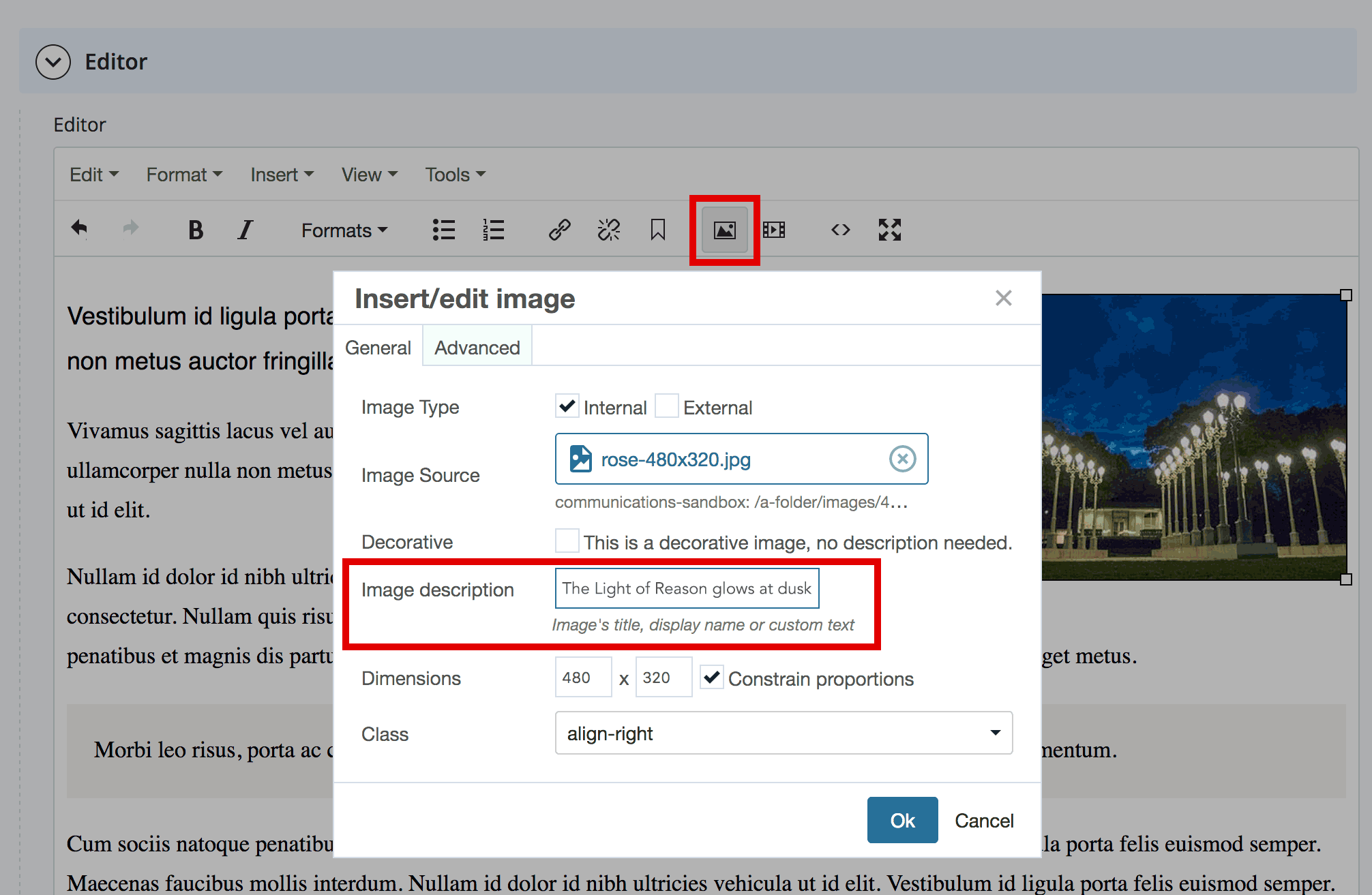 alt text field for inline images in cms