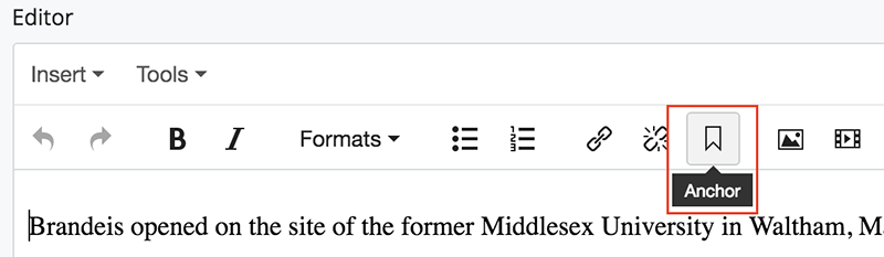 Anchor/bookmark button on the WYSIWYG