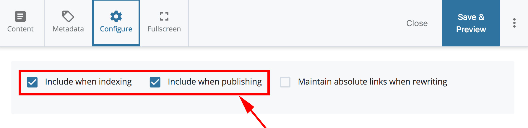 Uncheck Include when publishing and Include when indexing boxes