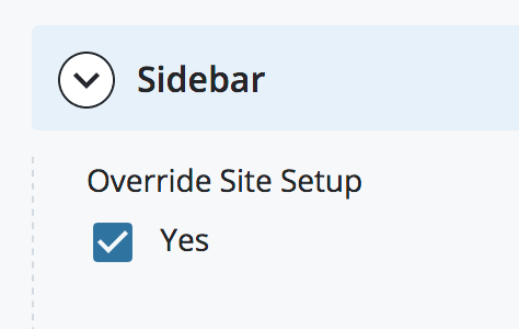 Check Override Site Setup box