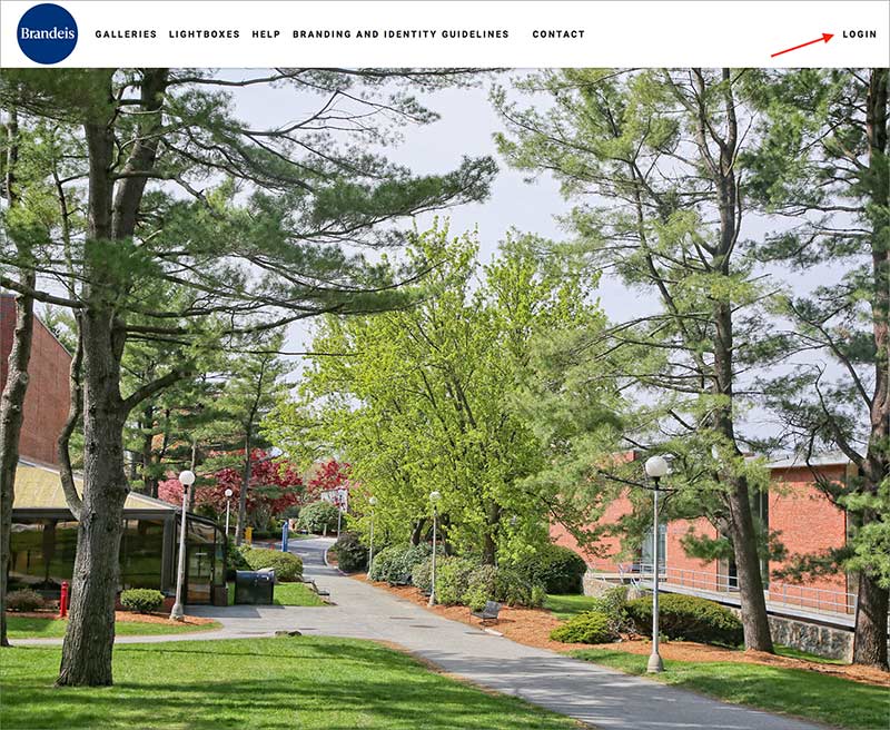 Home screen of online photography portal