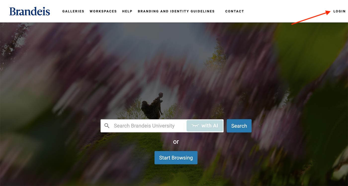 Home screen of online digital asset portal