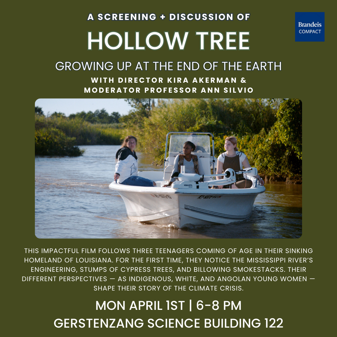 Hollow Tree Screening and Discussion Flyer