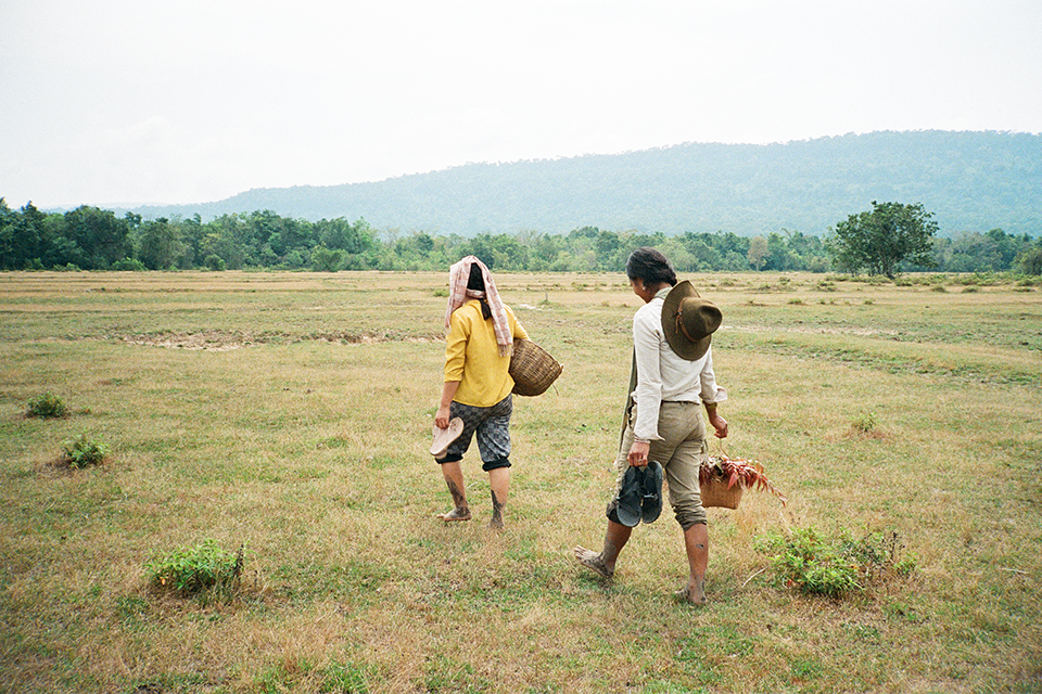 two people walking in the field