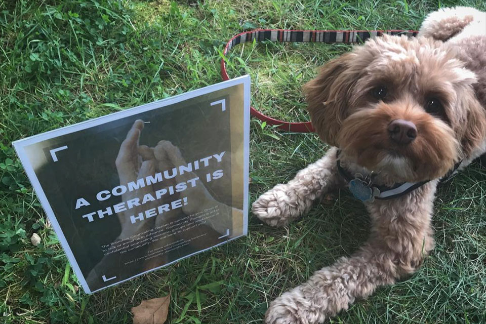A dog lays next to a sign that says "A Community Therapist is Here!"