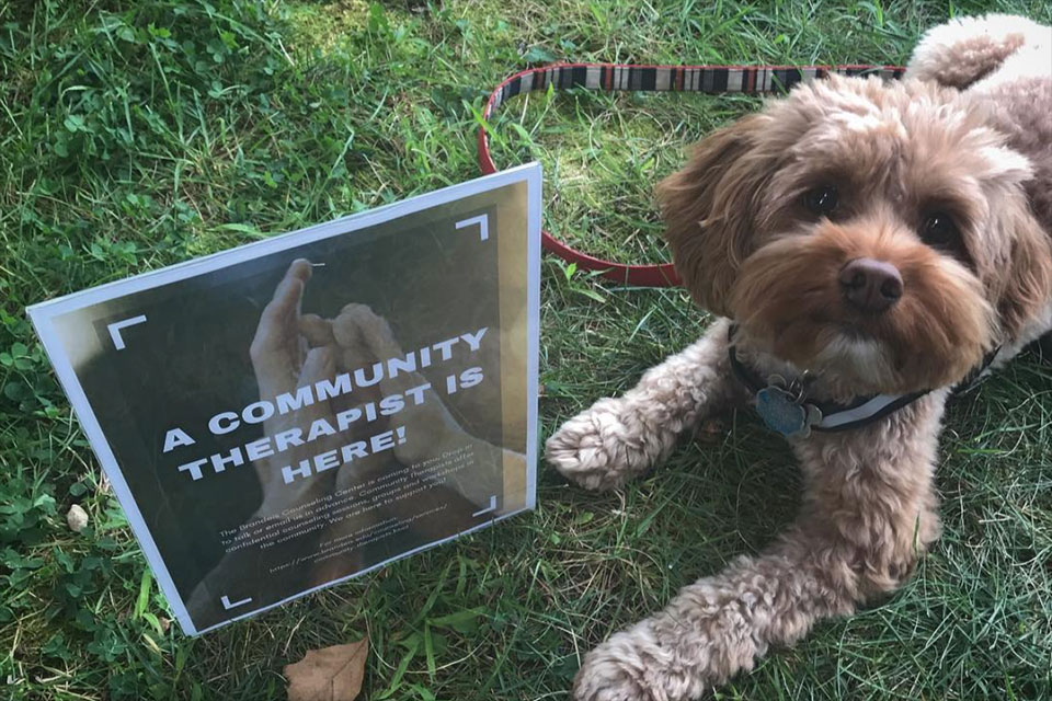 Teddy the BCC Therapy dog