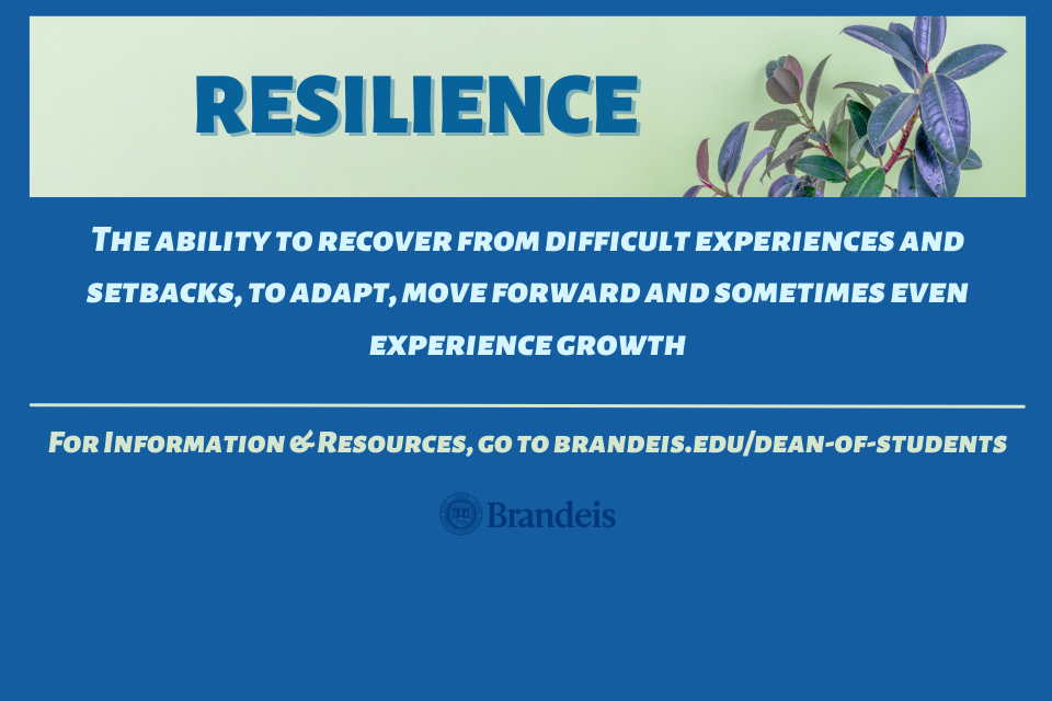 Definition of Resilience