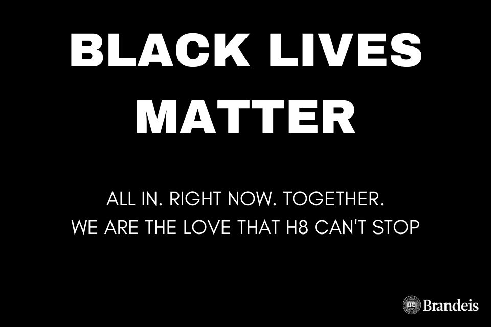Image of Black Lives Matter and stating all in, right now, together. We are the love that hate can't stop