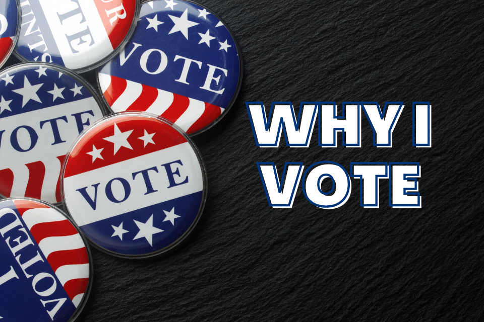 The words "Why I Vote" and VOTE buttons