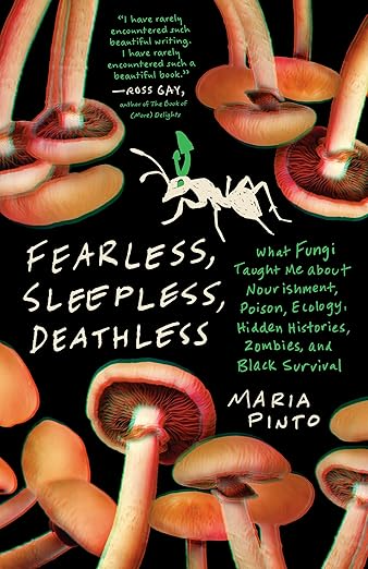 Flyer for Fearless, Sleeepless, Deathless