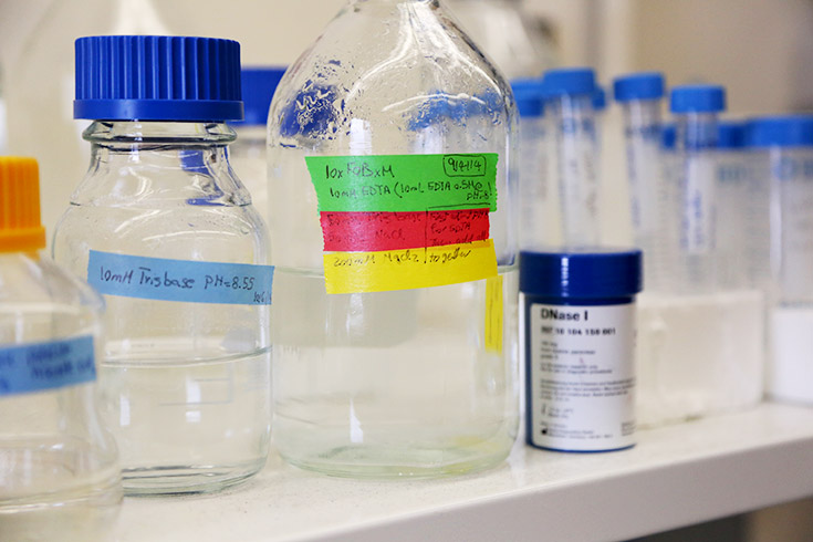 Beakers and bottles in a lab