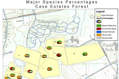 Case Estates Forest Percentage map