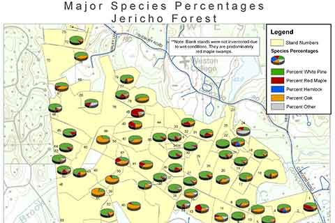 Percentage map for Jericho Forest