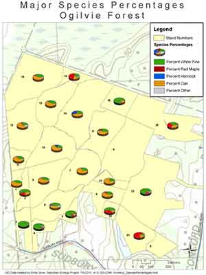 Ogilvie Forest percentage map