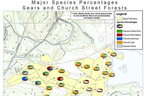 Sears and Church Street Forests Percentage map