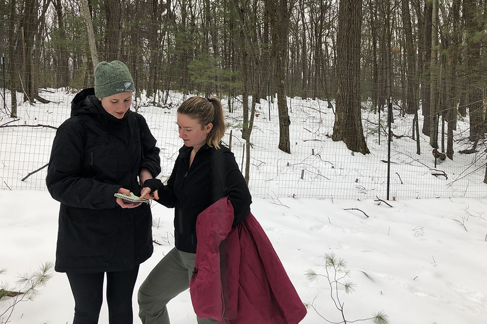 Environmental studies student researchers compare data notes in the field.