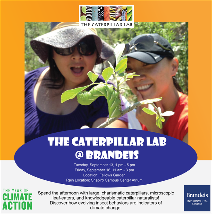 Caterpillar Lab @ Brandeis Event Flyer