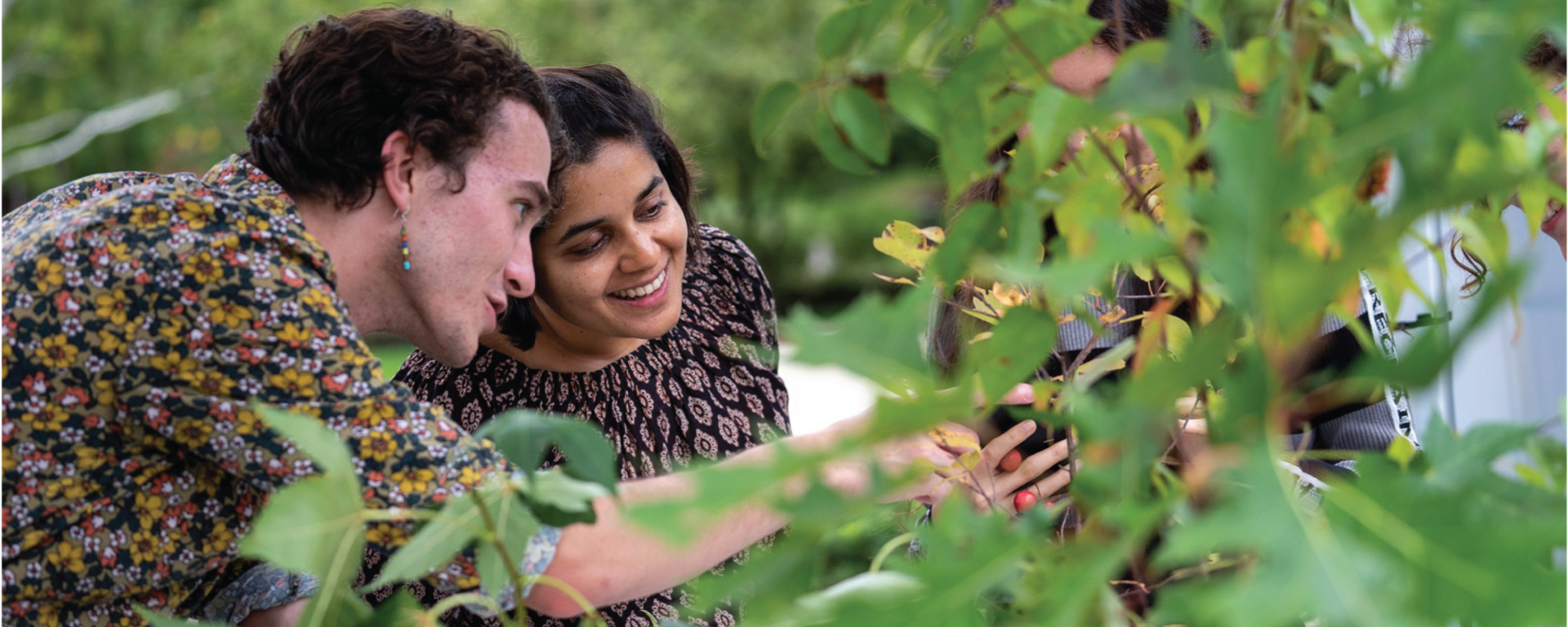 students studying trees on brandeis campus