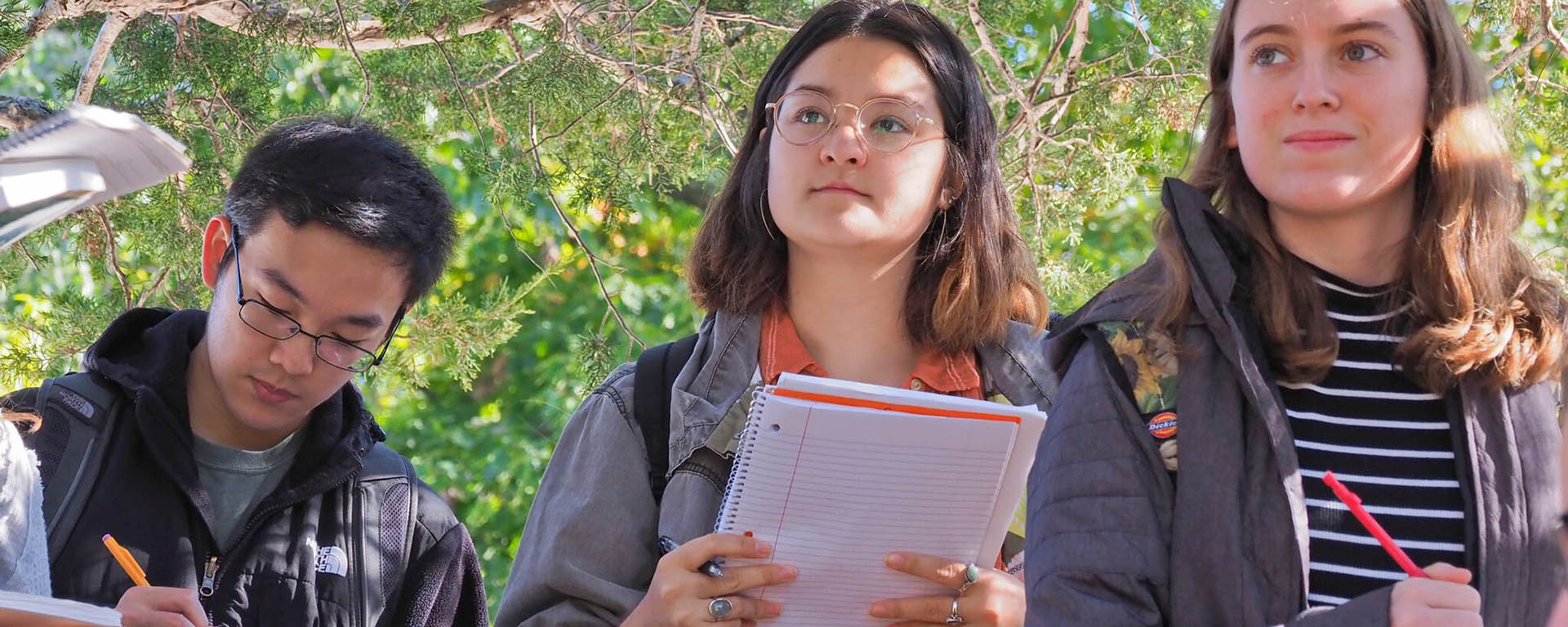 students studying trees on brandeis campus