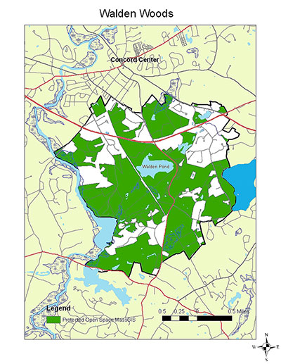 map of walden woods in concord, massachusetts