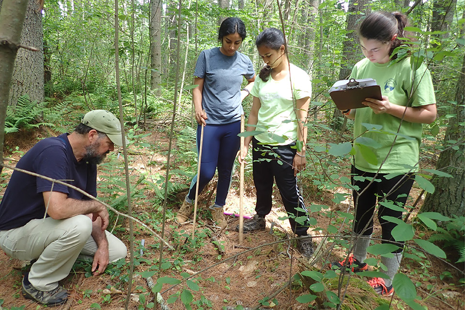 professor and students look at vegetation in conservation land in Weston, Mass.