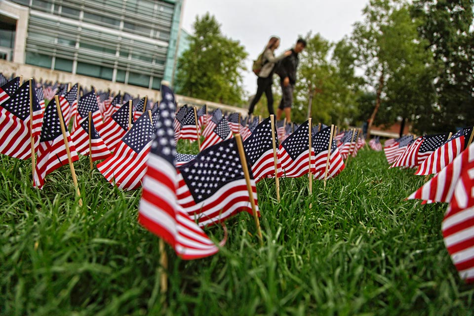 Small American flags stuck in the grass with the Shapiro Campus Center in the background