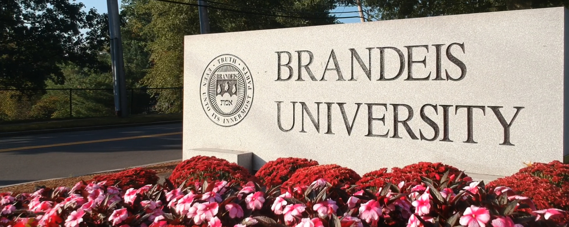 Brandeis entrance sign with pink flowers