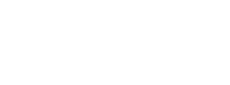 Brandeis University Faculty Guide