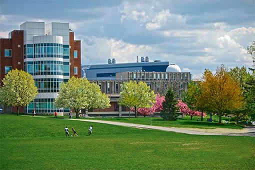 Brandeis campus 