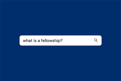 What is a fellowship