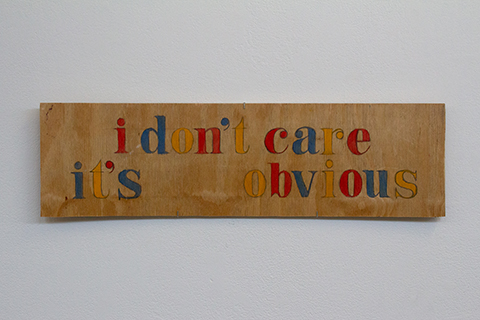 A four-inch tall by sixteen-inch wide plywood panel with the text, “i don’t care it’s obvious” painted on it. The text looks to be stenciled and each letter is painted either in red, blue, or yellow. It is in all lower case and there is a large gap between the words, “it’s” and “obvious.”