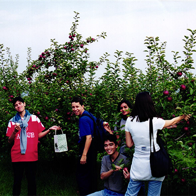 Students pick apples